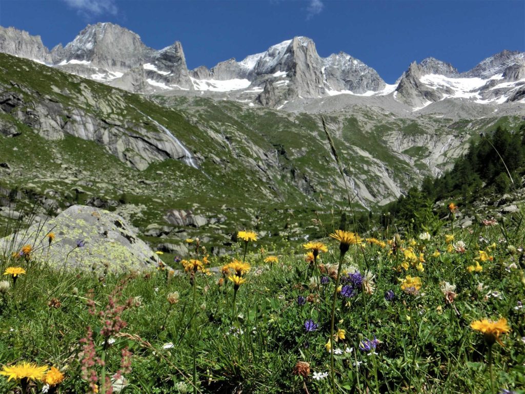 Monti innevati della Val Masino